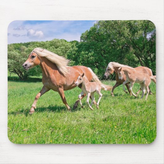Haflinger Pferde mit Niedlichen Foals Run Funny Fo Mousepad (Vorne)