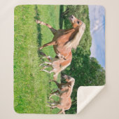 Haflinger Pferde mit Niedlichen Foals Run Funny Fo Sherpadecke (Vorderseite)