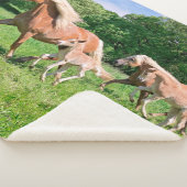 Haflinger Pferde mit Niedlichen Foals Run Funny Fo Sherpadecke (3/4)