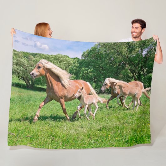 Haflinger Pferde mit niedlichen Fohlen lassen Fleecedecke (Beispiel)