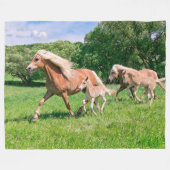 Haflinger Pferde mit niedlichen Fohlen lassen Fleecedecke (Vorderseite (Horizontal))