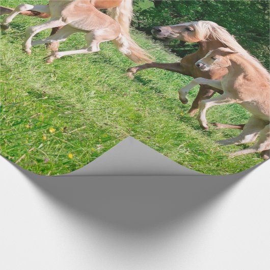 Haflinger Pferde mit niedlichen Fohlen lassen Geschenkpapier (Ecke)