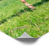 Haflinger Pferde mit Niedlichen Fohlen Lauf Funny  Poster (Ecke)