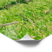 Haflinger Pferde mit Niedlichen Fohlen Lauf Funny Poster (Ecke)