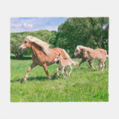 Haflinger Pferde mit Niedlichen Fohlen Run Funny F Fleecedecke (Vorderseite (Horizontal))