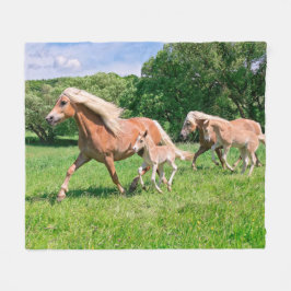 Haflinger Pferde mit Niedlichen Fohlen Run Funny F Fleecedecke