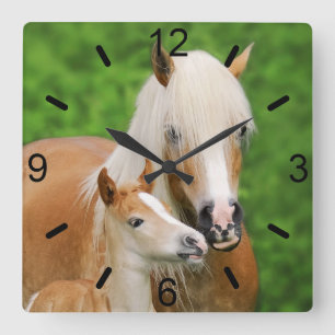 Haflinger Pferde Niedlich Foal Kiss Mum / Wählpla Quadratische Wanduhr