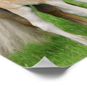 Haflinger Pferde Niedlich Forelle Kiss Mum Animal Poster (Ecke)