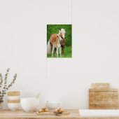 Haflinger Pferde Niedlich Forelle Kiss Mum Animal Poster (Küche)