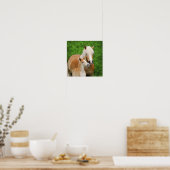 Haflinger Pferde Niedlich Fossil Kiss Mum Foto Squ Poster (Küche)