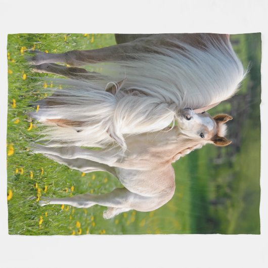 Haflinger Pferde Niedliche Babyfohle mit Mama-Foto Fleecedecke (Vorderseite (Horizontal))