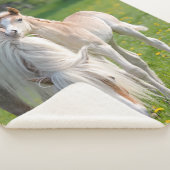 Haflinger Pferde Niedliche Babyfohlen mit Mama-Fot Sherpadecke (3/4)