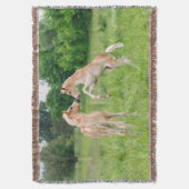 Haflinger Pferde niedliche Fohlen-Aufzucht - Decke (Vorderseite Vertikal)