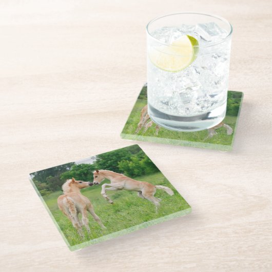 Haflinger pferde niedliche Fohlen - Aufzucht und S Glasuntersetzer (Schrägansicht)