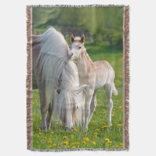 Haflinger Pferde Niedliches Baby Fohlen mit Mama F Decke