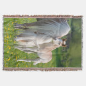 Haflinger Pferde Niedliches Baby Fohlen mit Mama F Decke (Vorderseite)