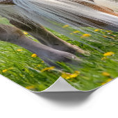 Haflinger Pferde Niedliches Baby Fohlen mit Mama-F Poster (Ecke)