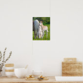 Haflinger Pferde Niedliches Baby Fohlen mit Mama-F Poster (Küche)