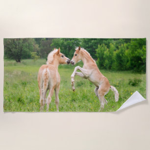 Haflinger Pferdeniedliche Fohlen-Freunde, die Foto Strandtuch