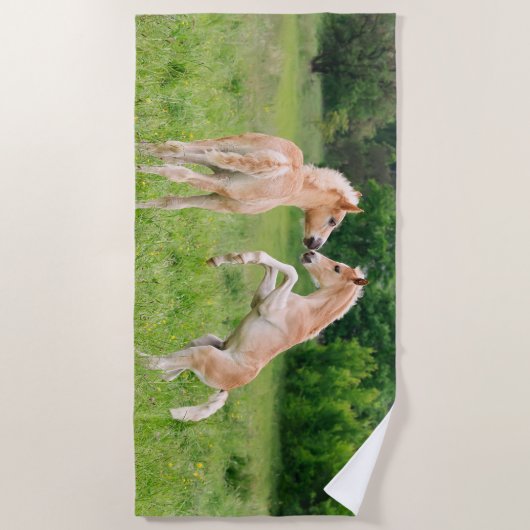 Haflinger Pferdeniedliche Fohlen-Freunde, die Foto Strandtuch (Vorderseite)