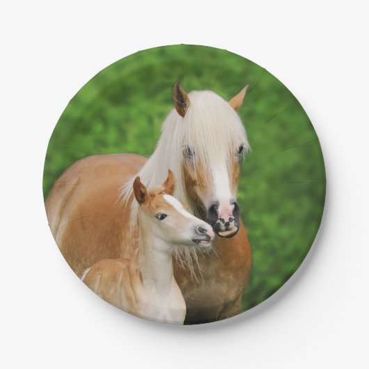 Haflinger Pferdeniedliche Pappteller (Vorderseite)
