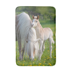 Haflinger Pferdeniedliches Baby-Fohlen mit Badematte