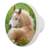 Haflinger Pferdeniedliches Fohlen im Flowerbed Keramikknauf (Rechts)