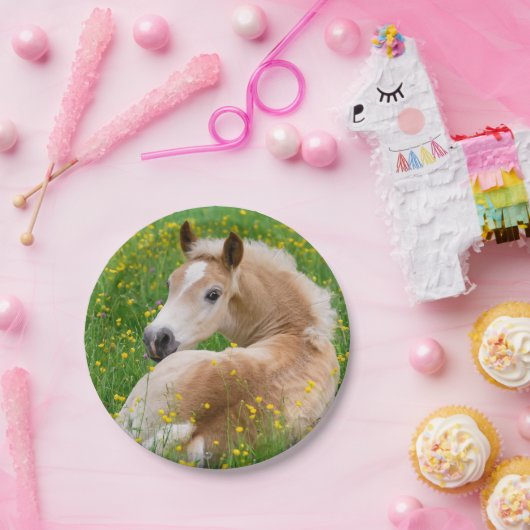 Haflinger Pferdeniedliches Fohlen im Pappteller (Party)