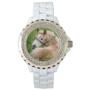 Haflinger Pferdeniedliches Fohlen in einem Armbanduhr