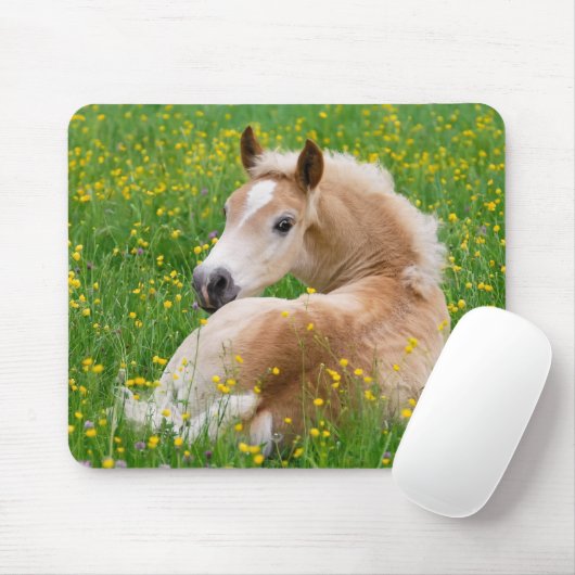 Haflinger Pferdeniedliches Fohlen in einem Mousepad (Mit Mouse)