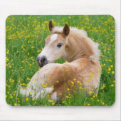 Haflinger Pferdeniedliches Fohlen in einem Mousepad (Vorne)