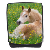Haflinger Pferdeniedliches Fohlen in einer Rucksack (Vorderseite)