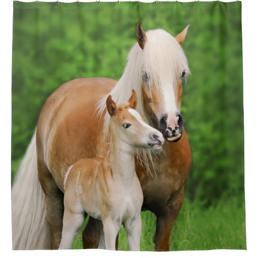 Haflinger Pferdeniedliches Fohlen-Kuss-Mama-Foto - Duschvorhang (Vorderseite)