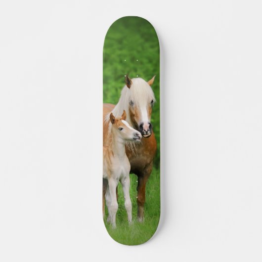 Haflinger Pferdeniedliches Fohlen-Kuss-Mama-Foto Skateboard (Vorne)