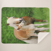 Haflinger Pferdeniedliches Sherpadecke (Vorderseite (Horizontal))