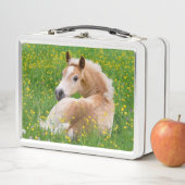 Haflinger Pony Horse Niedlich Fohlen im Blumenbeet Metall Brotdose (Beispiel)