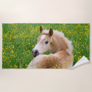 Haflinger Pony-Pferdeniedliches Fohlen im Strandtuch