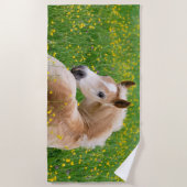 Haflinger Pony-Pferdeniedliches Fohlen im Strandtuch (Vorderseite)