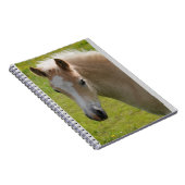 Haflinger Pony (seltene Zucht) Notizblock (Rechte Seite)