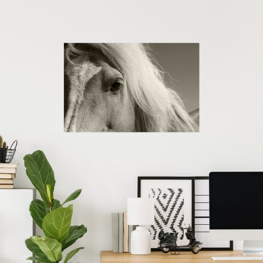 Haflinger Porträt - Horse - cheval Poster (Heimbüro)