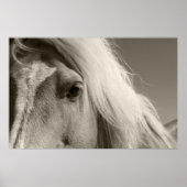 Haflinger Porträt - Horse - cheval Poster (Vorne)