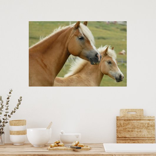 Haflinger Poster (Küche)