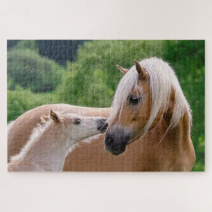 Haflinger-Stute und Fohlen-Cuddling Puzzle