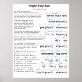 Haftarah Trope Chart Poster (Vorne)