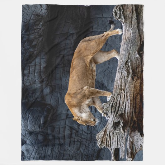 HAFTUNG FLEECEDECKE (Vorderseite)