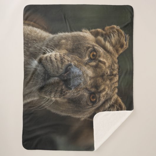 HAFTUNG SHERPADECKE (Vorderseite)