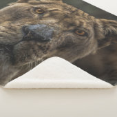 HAFTUNG SHERPADECKE (3/4)