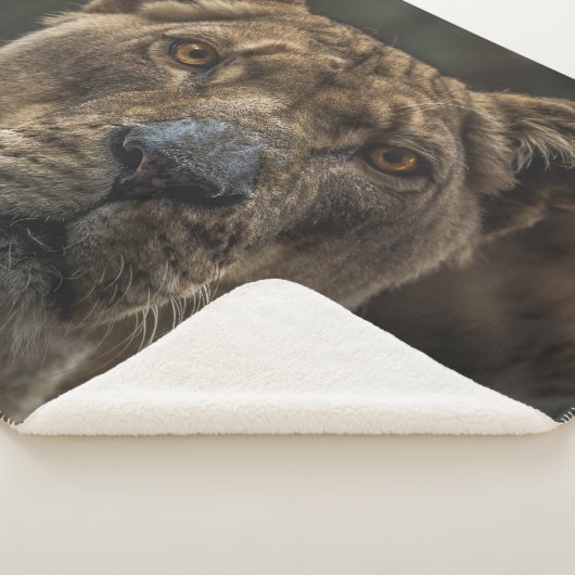 HAFTUNG SHERPADECKE (3/4)