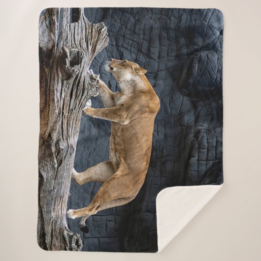 HAFTUNG SHERPADECKE (Vorderseite)