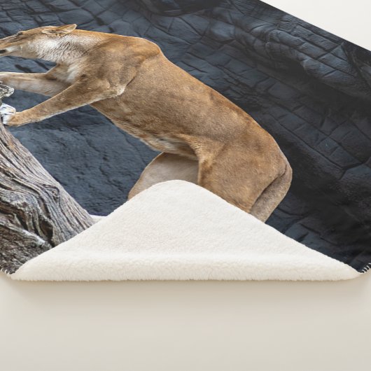 HAFTUNG SHERPADECKE (3/4)